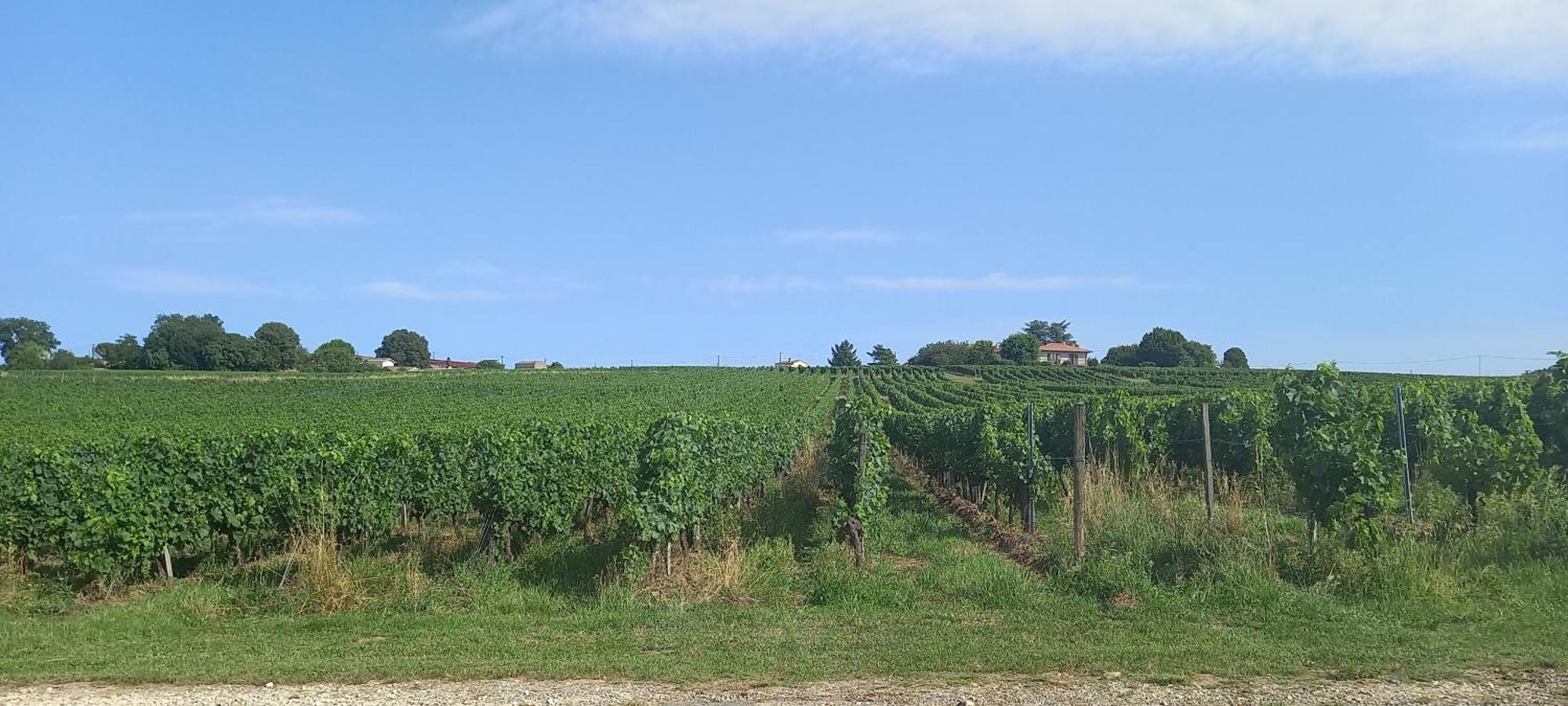 L'Hermitage D'Alienor Lugon et l'Ile du Carney Luaran gambar