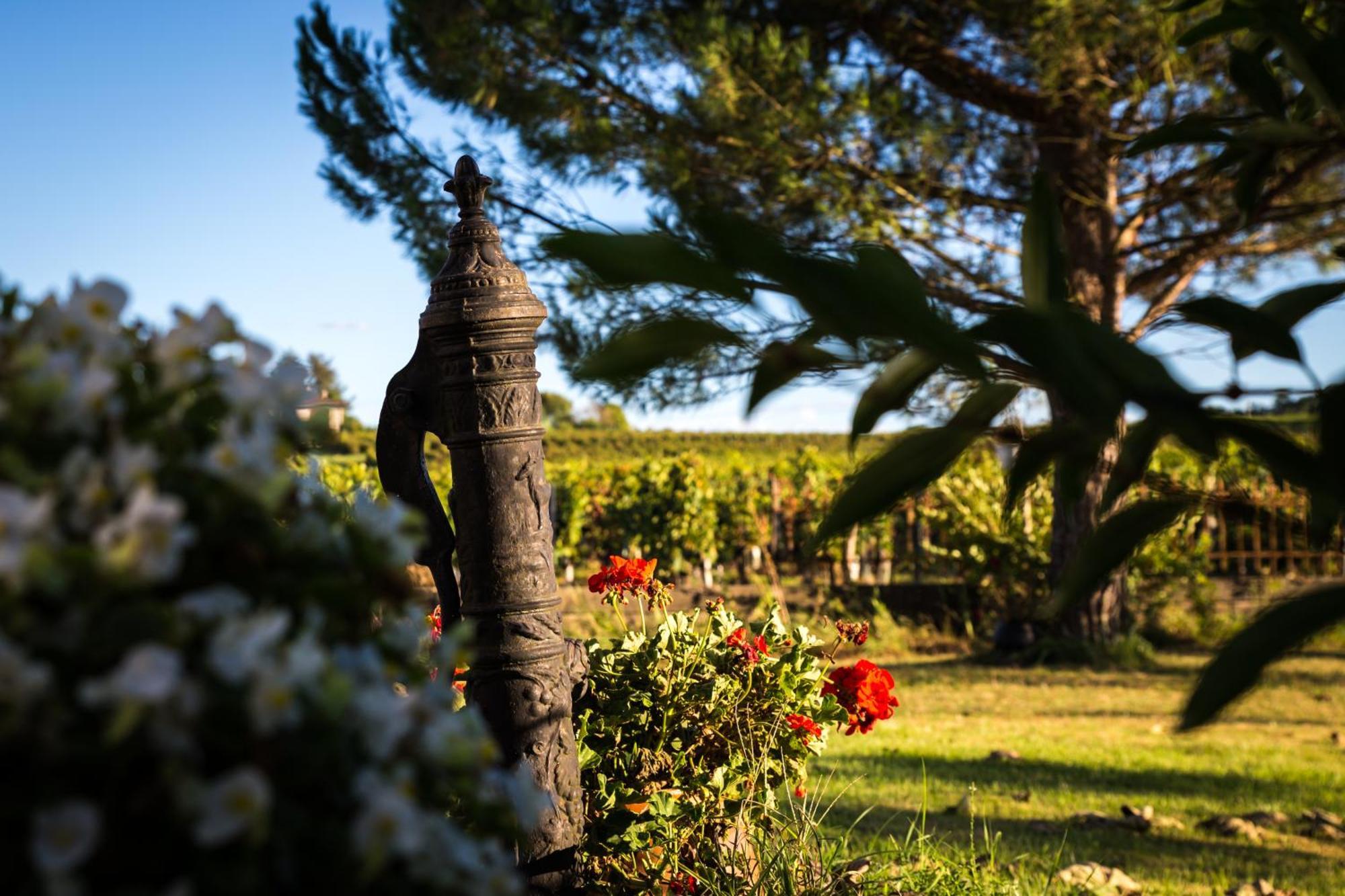 L'Hermitage D'Alienor Lugon et l'Ile du Carney Luaran gambar